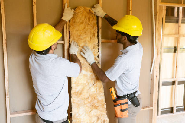 Types of Insulation We Offer in Brownsville, LA